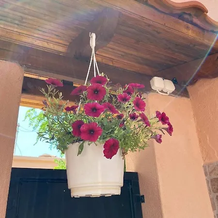 Ano Poli 2 * Thessaloniki