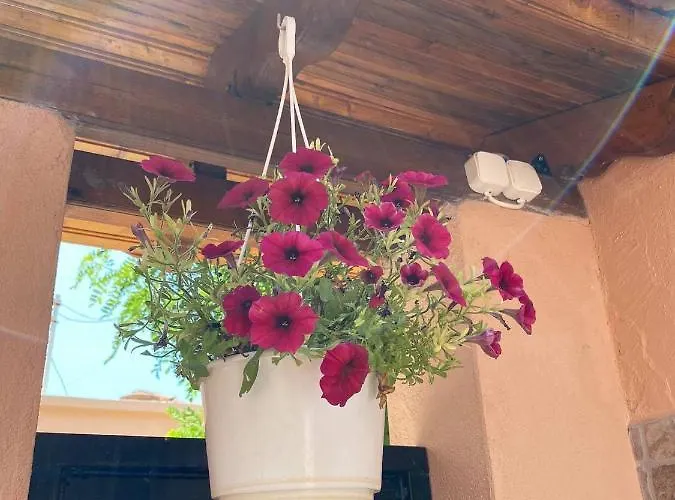 Ano Poli 2 * Θεσσαλονίκη